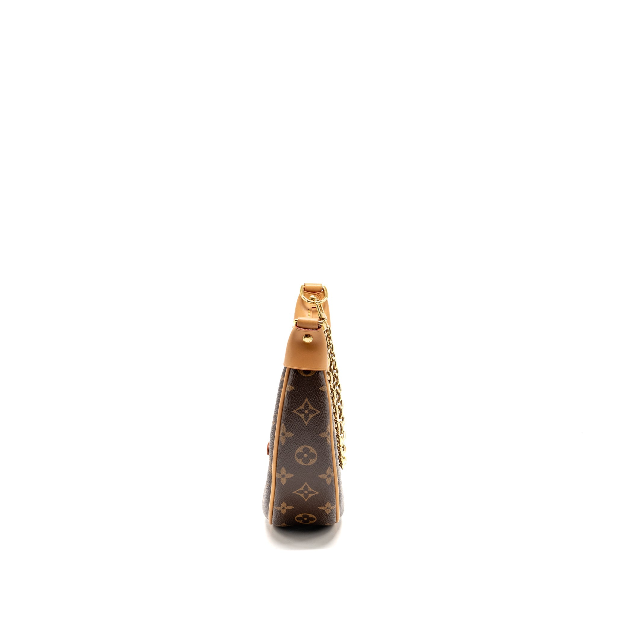 LOUIS VUITTON LOOP MONOGRAM CANVAS GHW - Image 3