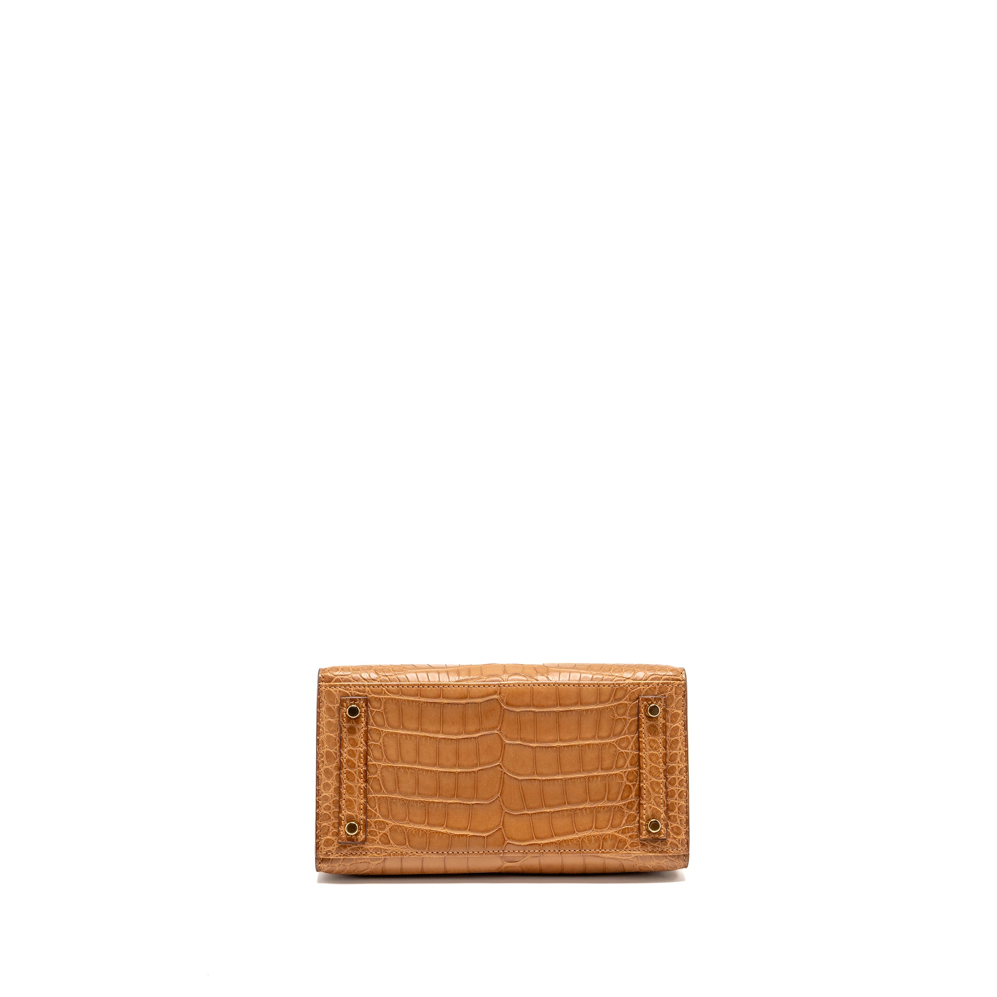 HERMES BIRKIN 20 ALLIGATOR MISSISSIPPIENSIS MAT GOLD GHW - Image 5
