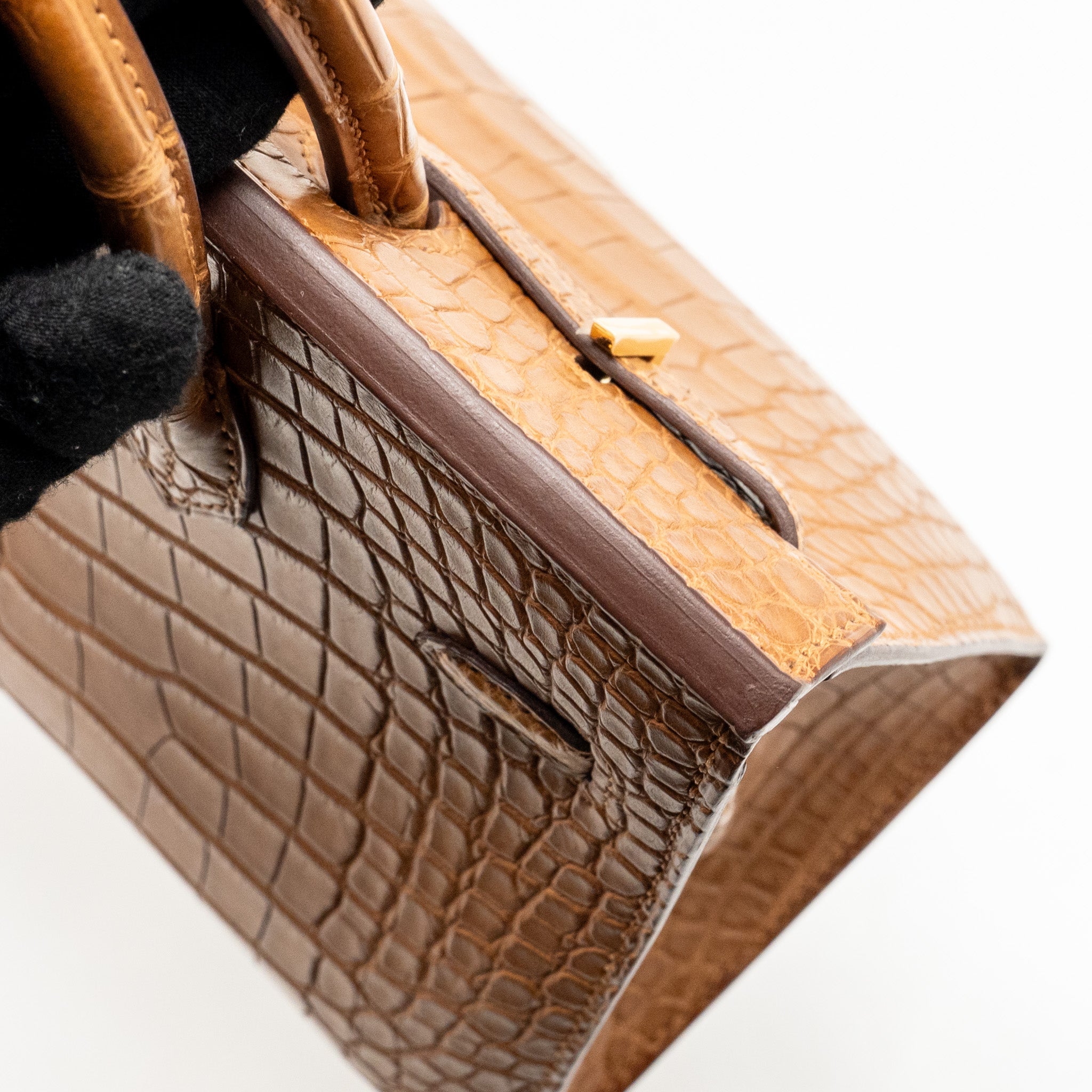 HERMES BIRKIN 20 ALLIGATOR MISSISSIPPIENSIS MAT GOLD GHW - Image 13