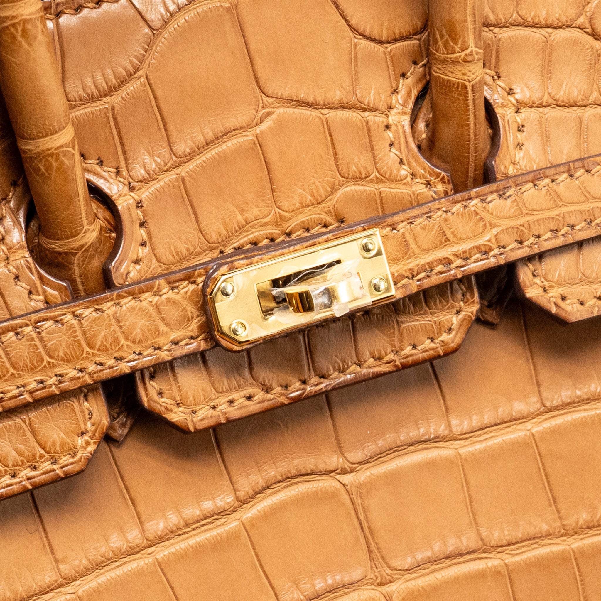HERMES BIRKIN 20 ALLIGATOR MISSISSIPPIENSIS MAT GOLD GHW - Image 17