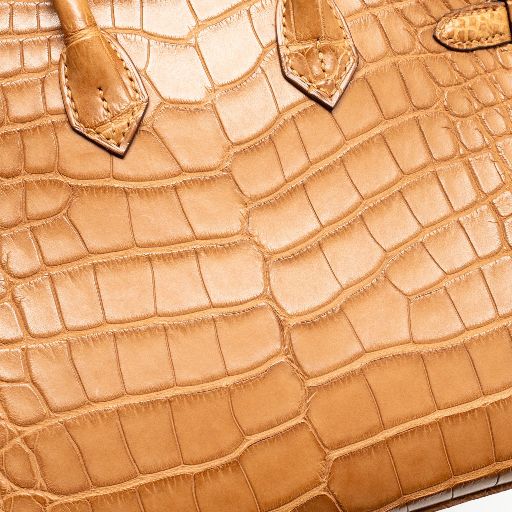 HERMES BIRKIN 20 ALLIGATOR MISSISSIPPIENSIS MAT GOLD GHW - Image 16