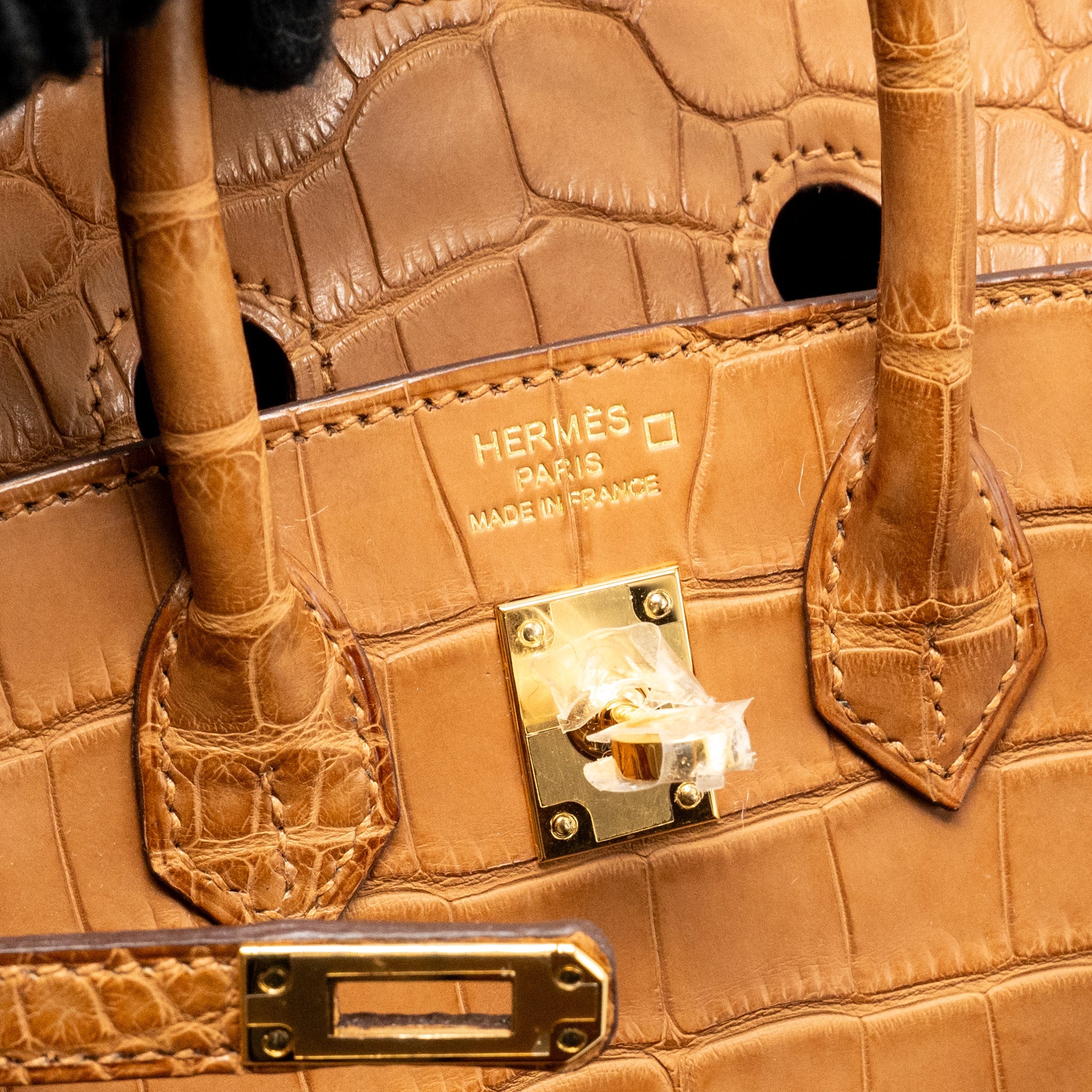 HERMES BIRKIN 20 ALLIGATOR MISSISSIPPIENSIS MAT GOLD GHW - Image 18