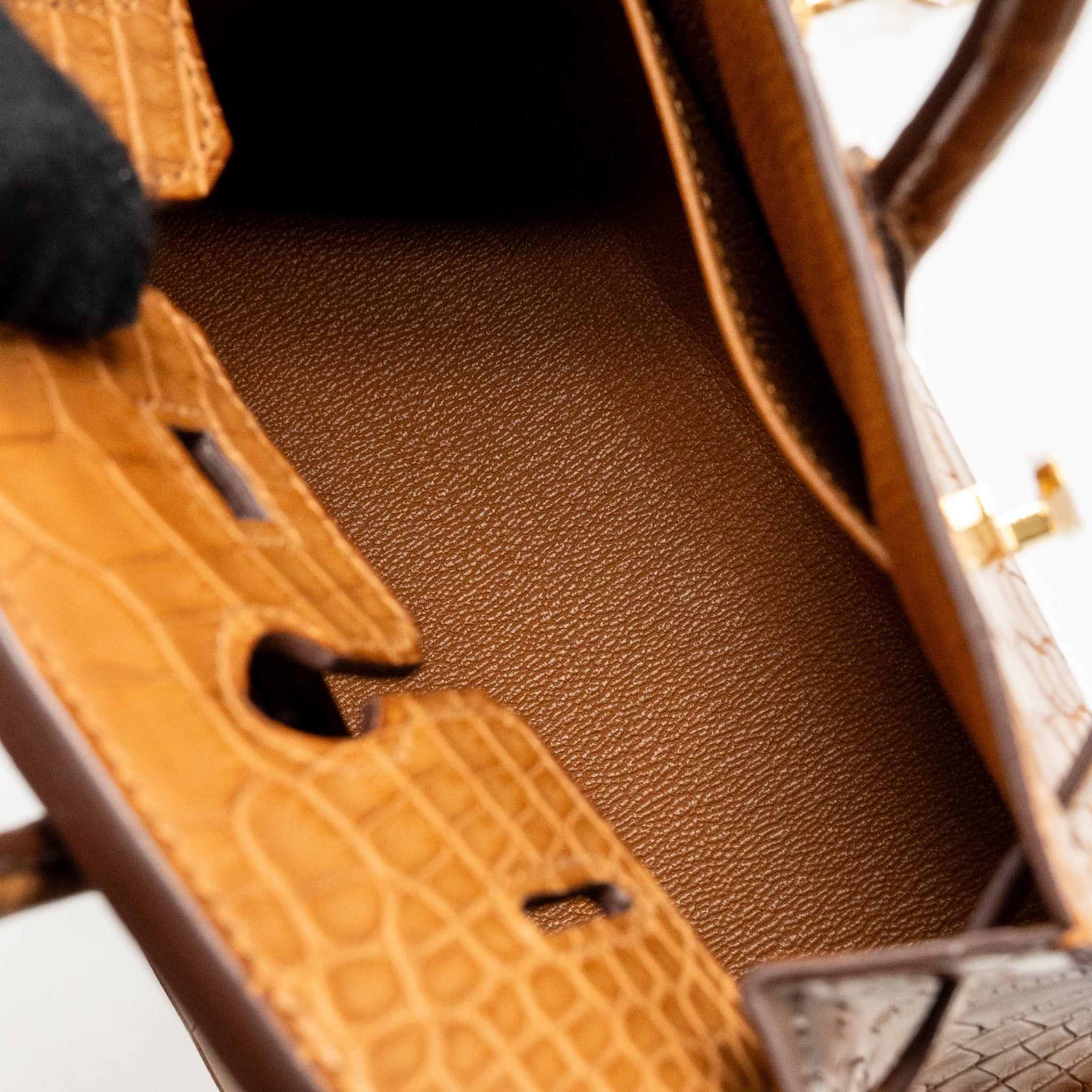 HERMES BIRKIN 20 ALLIGATOR MISSISSIPPIENSIS MAT GOLD GHW - Image 19