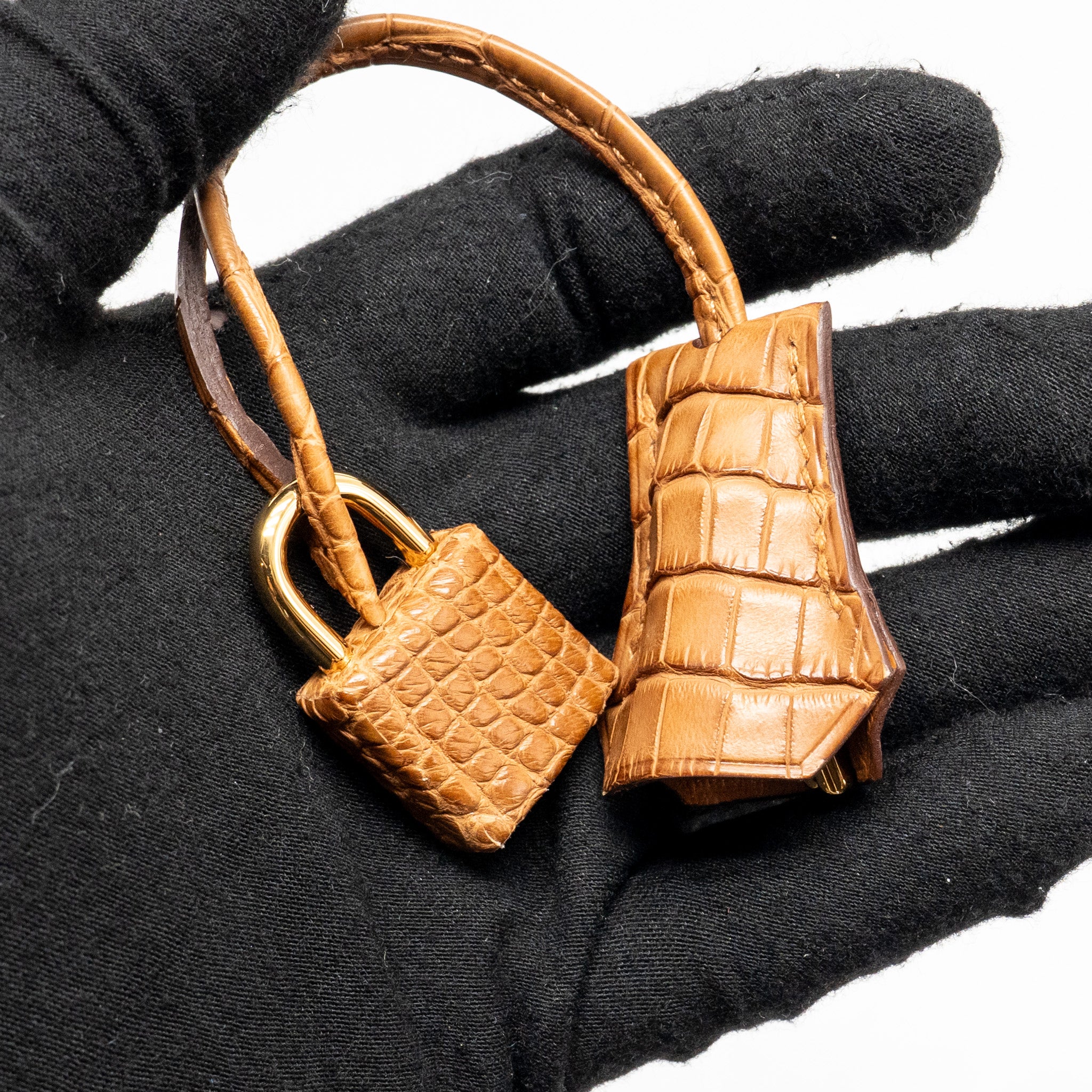 HERMES BIRKIN 20 ALLIGATOR MISSISSIPPIENSIS MAT GOLD GHW - Image 21