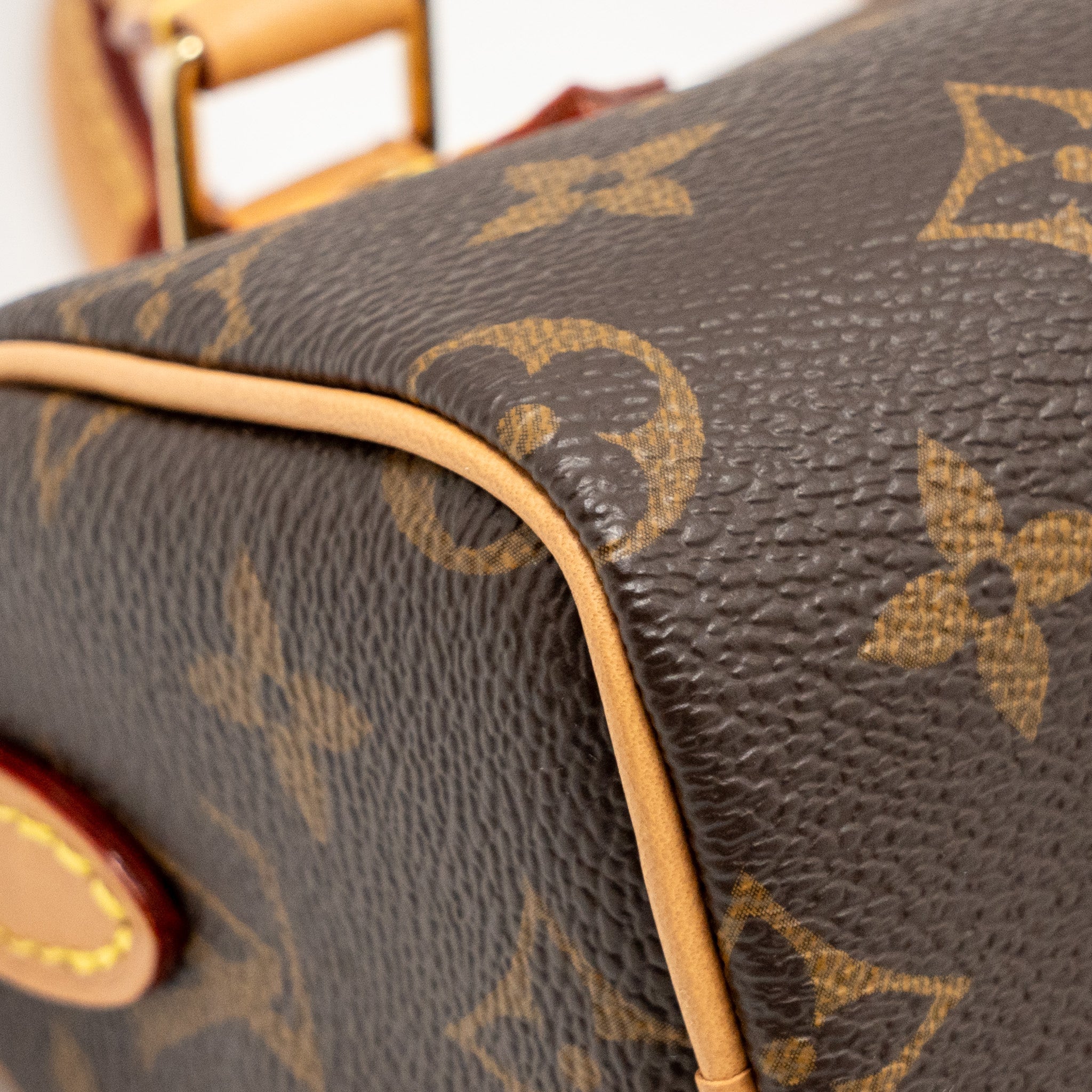 LOUIS VUITTON NANO SPEEDY MONOGRAM CANVAS GHW - Image 10