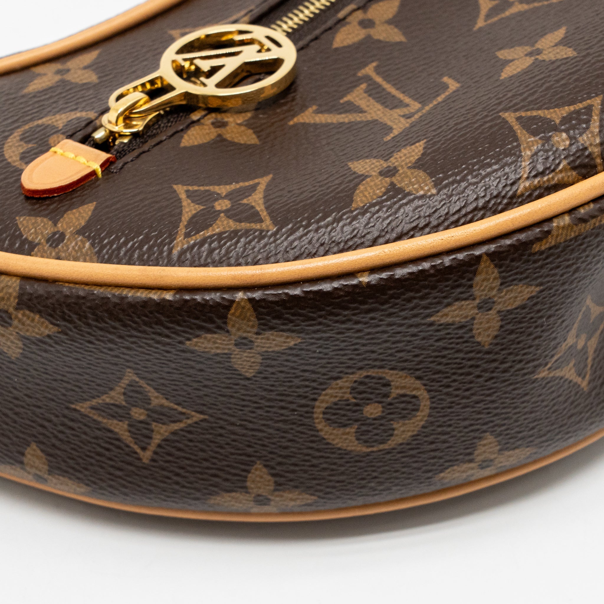LOUIS VUITTON LOOP MONOGRAM CANVAS GHW - Image 7
