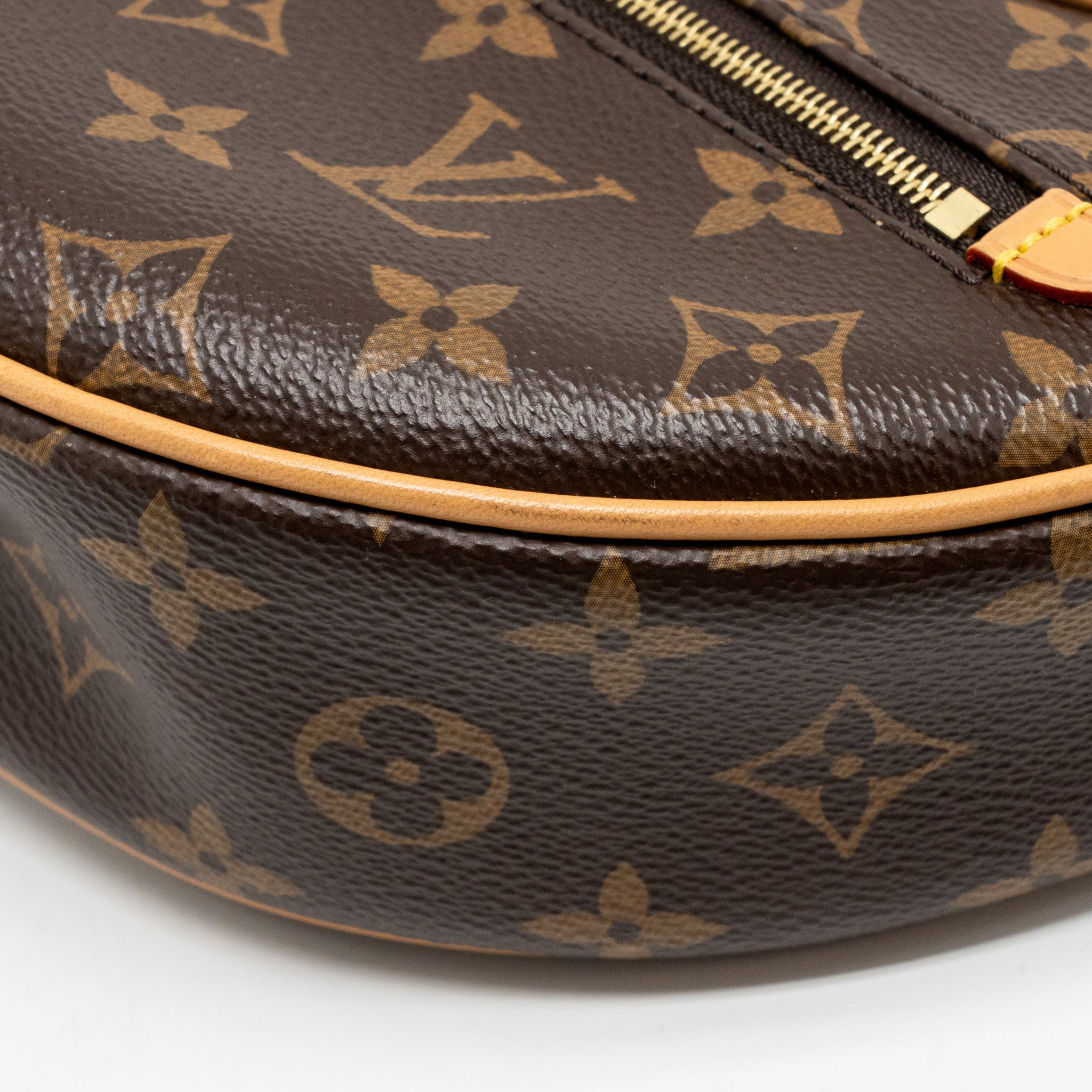 LOUIS VUITTON LOOP MONOGRAM CANVAS GHW - Image 8