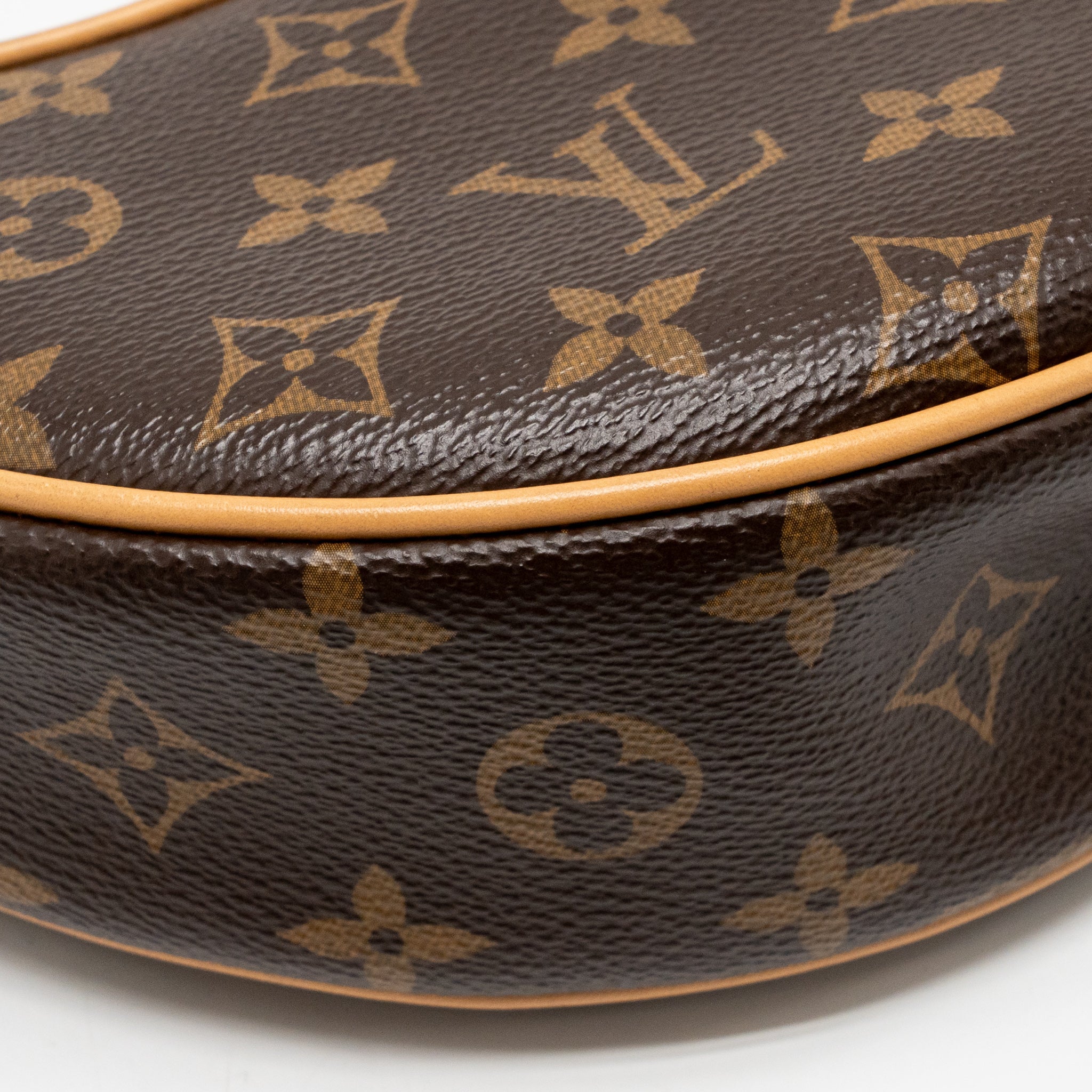 LOUIS VUITTON LOOP MONOGRAM CANVAS GHW - Image 9
