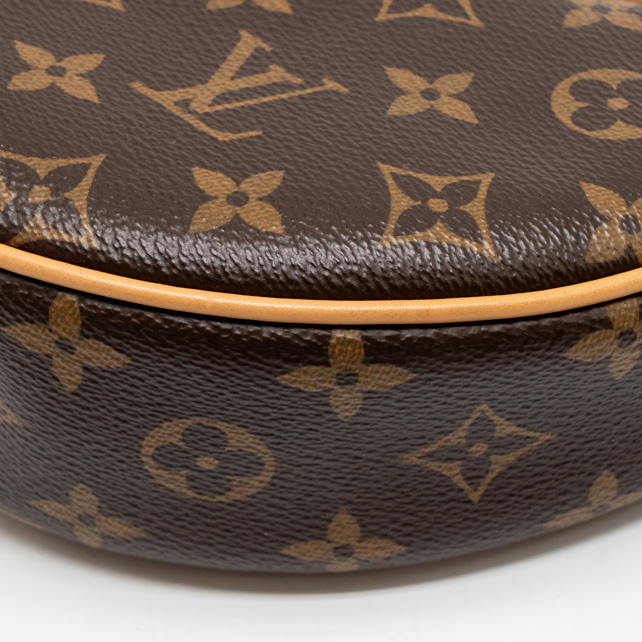 LOUIS VUITTON LOOP MONOGRAM CANVAS GHW - Image 10