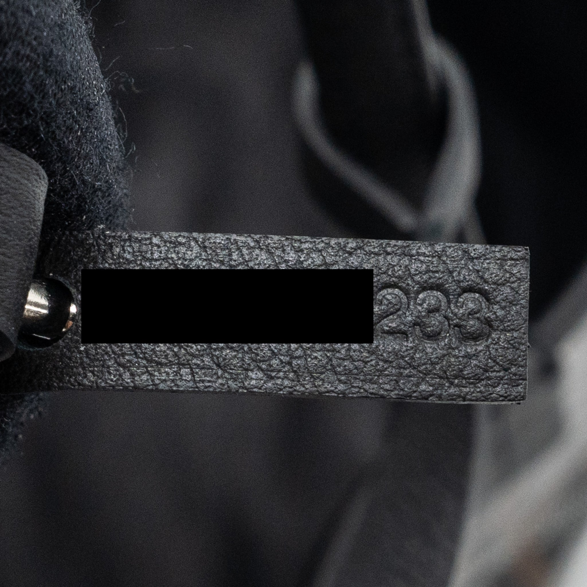 GOYARD ANJOU MINI BAG CANVAS/CALFSKIN BLACK SHW - Image 13