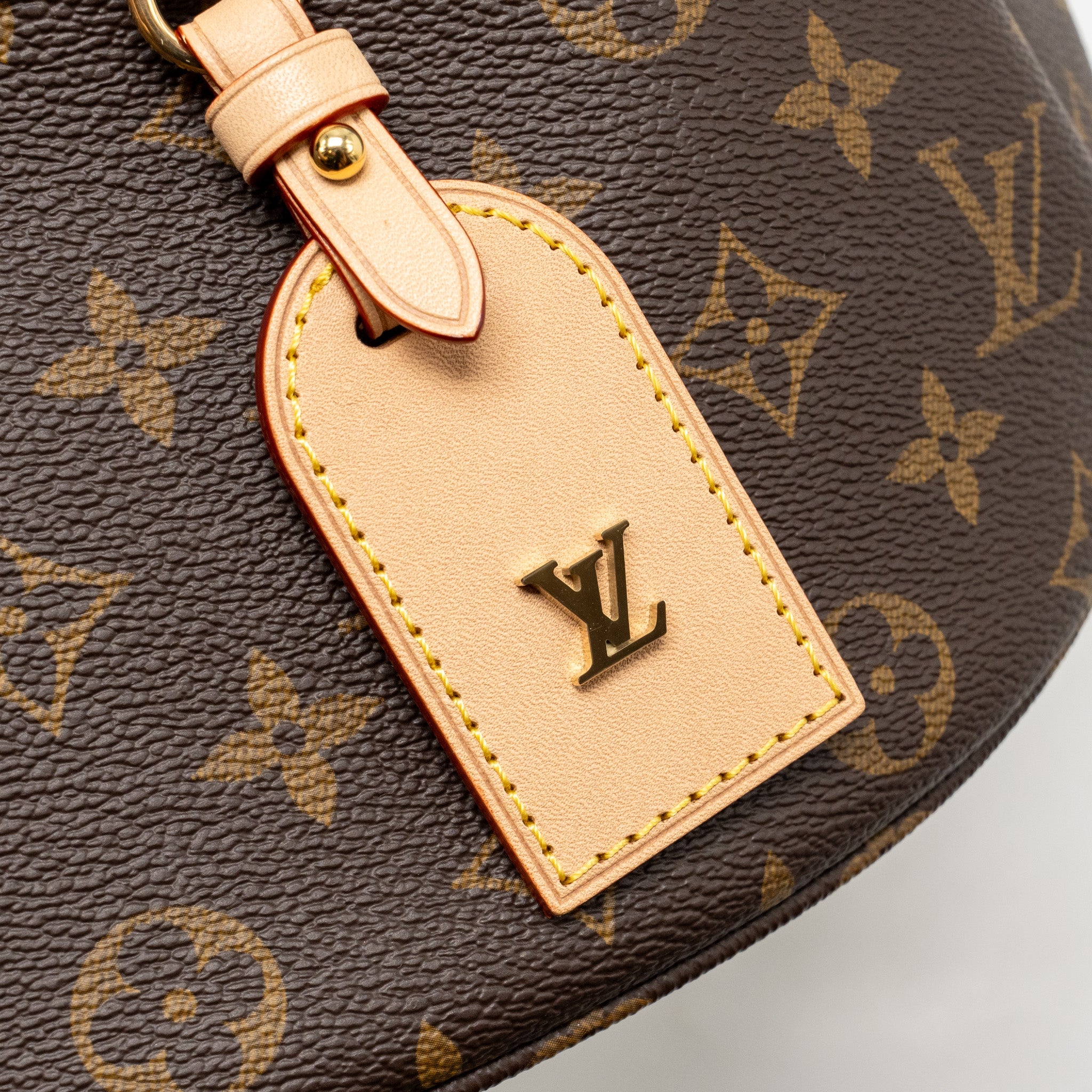 LOUIS VUITTON HIGH RISE BUMBAG MONOGRAM CANVAS GHW - Image 11
