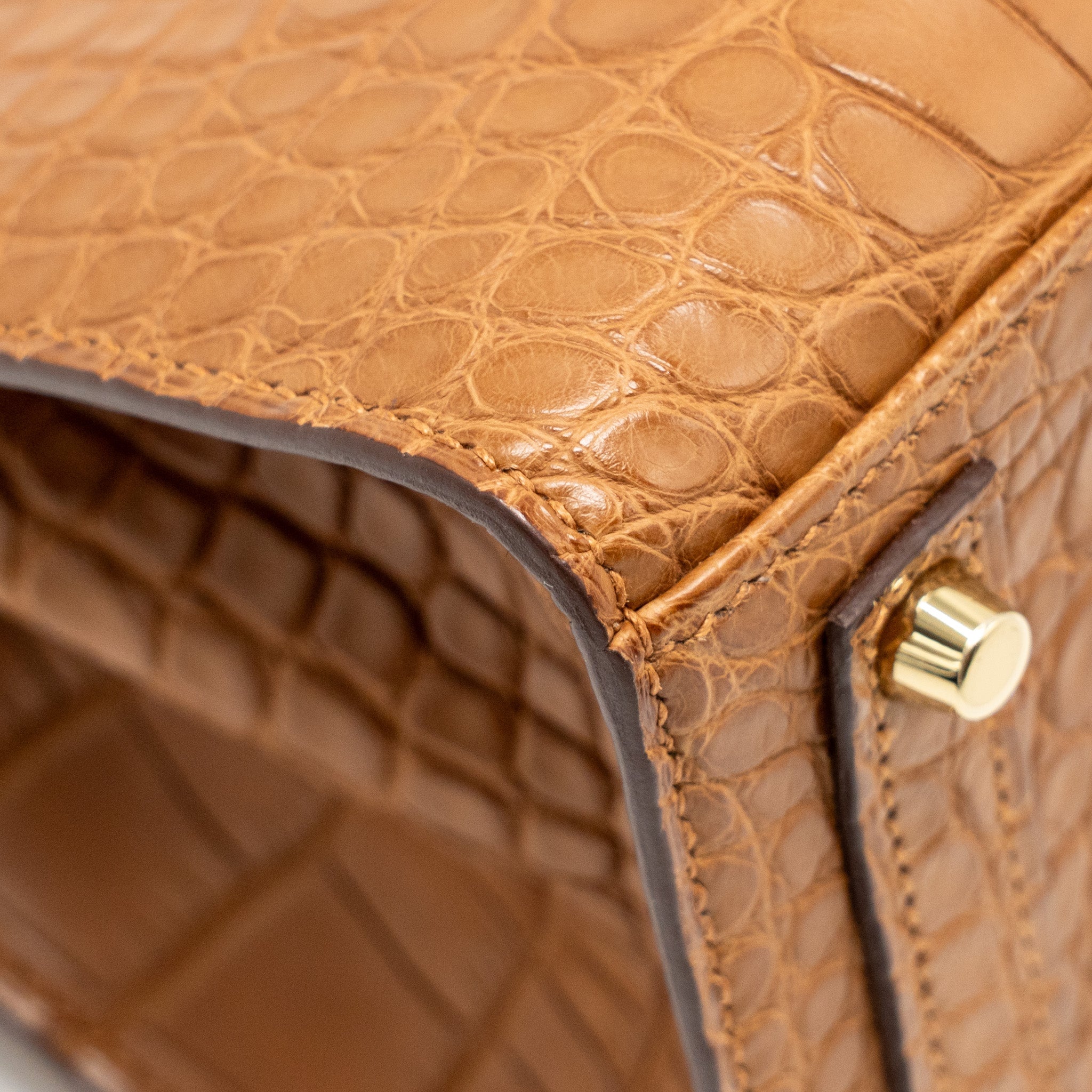 HERMES BIRKIN 20 ALLIGATOR MISSISSIPPIENSIS MAT GOLD GHW - Image 9