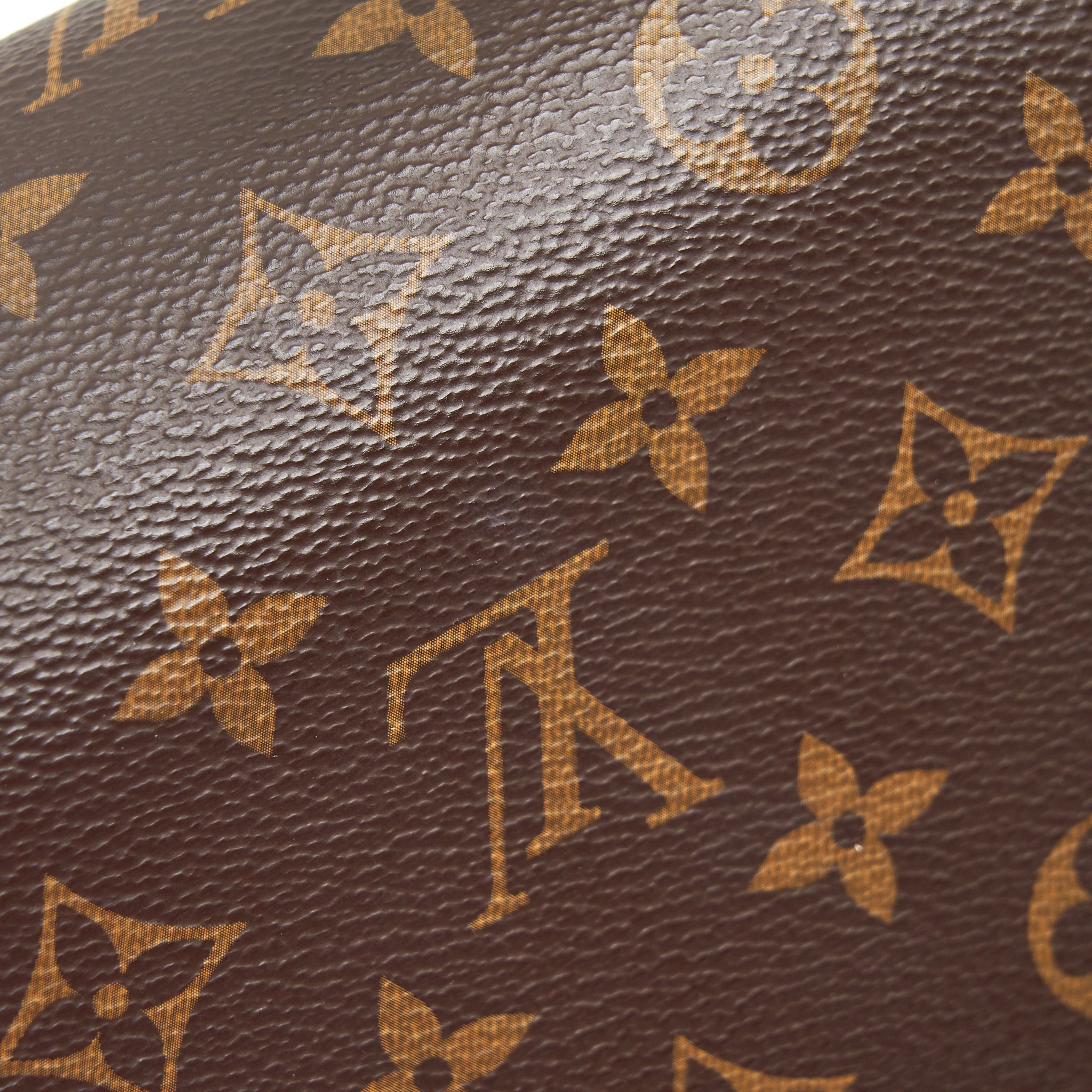 LOUIS VUITTON DAULPHINE BAG MONOGRAM CANVAS - Image 14