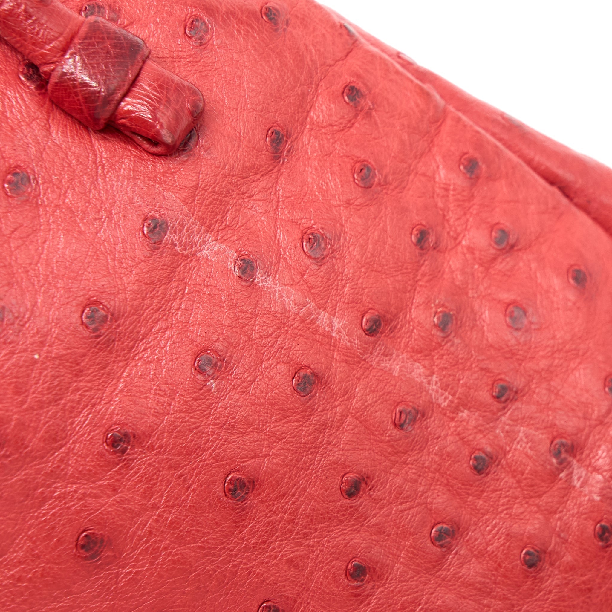 MIUMIU TOTE BAG OSTRICH RED GHW - Image 11