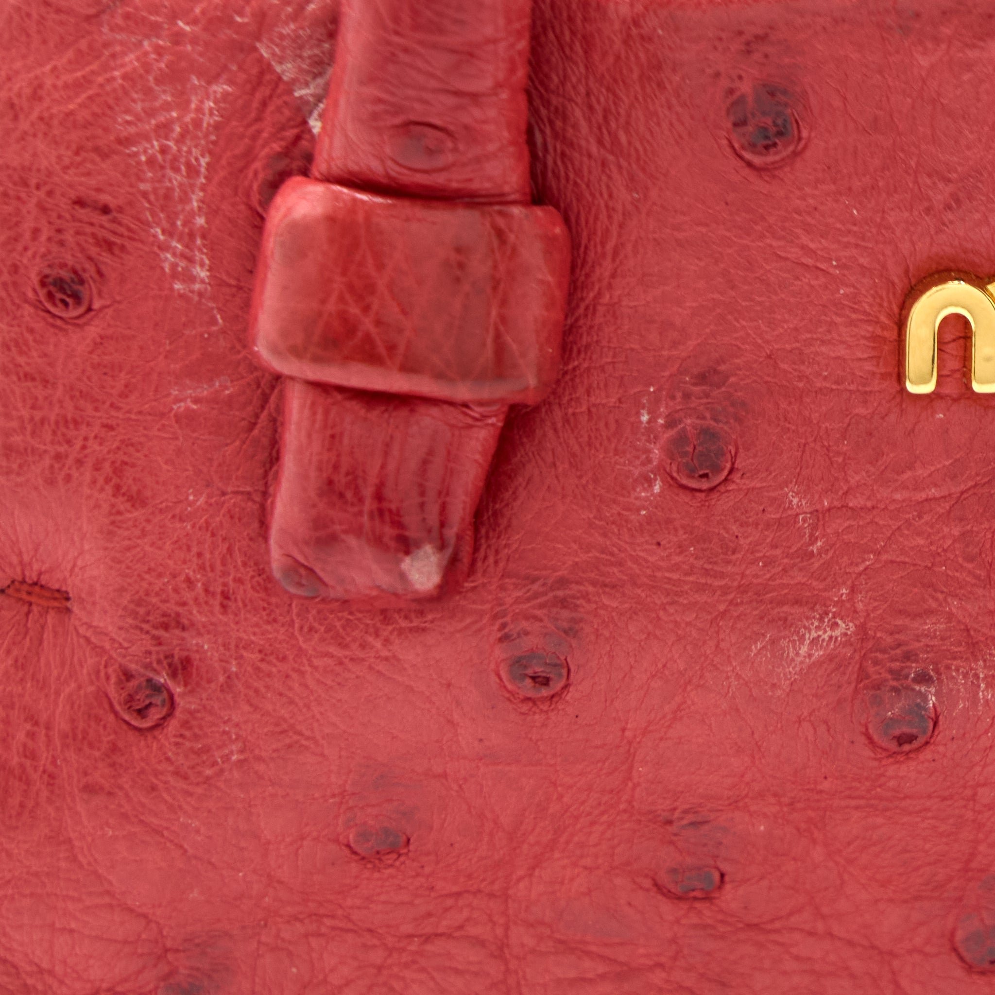 MIUMIU TOTE BAG OSTRICH RED GHW - Image 14